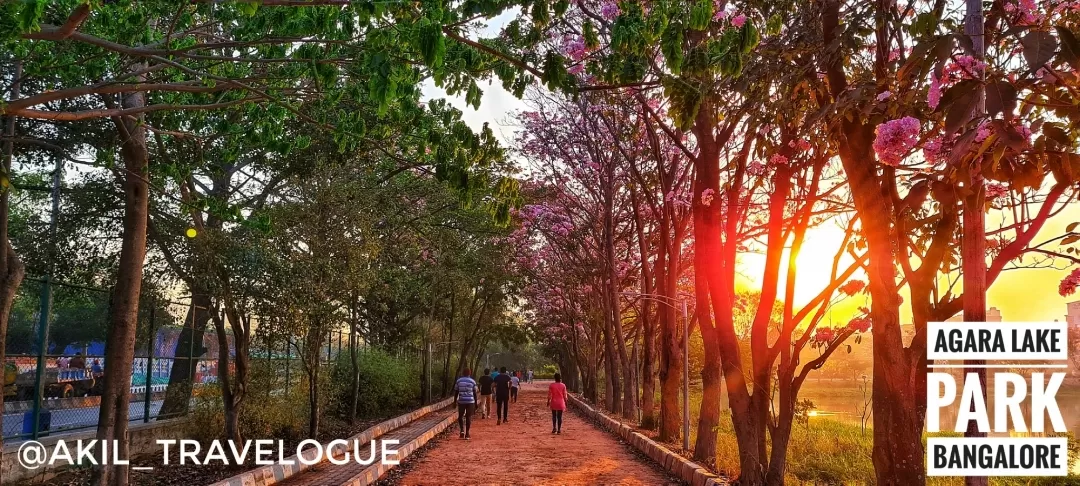 Photo of Agara Lake By Akil Narayana