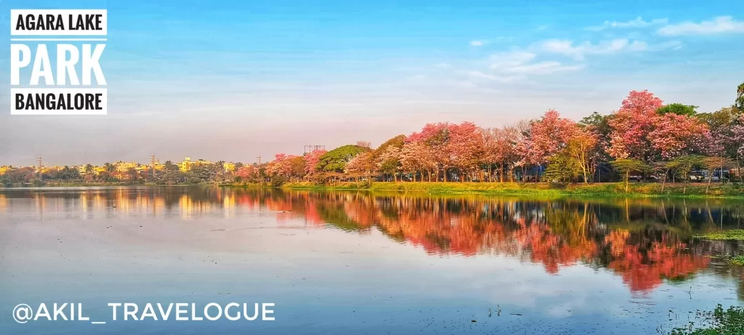 Photo of Agara Lake By Akil Narayana