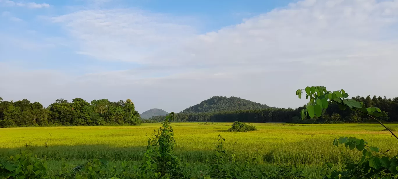 Photo of Sri Surya Pahar By Abinash Roy