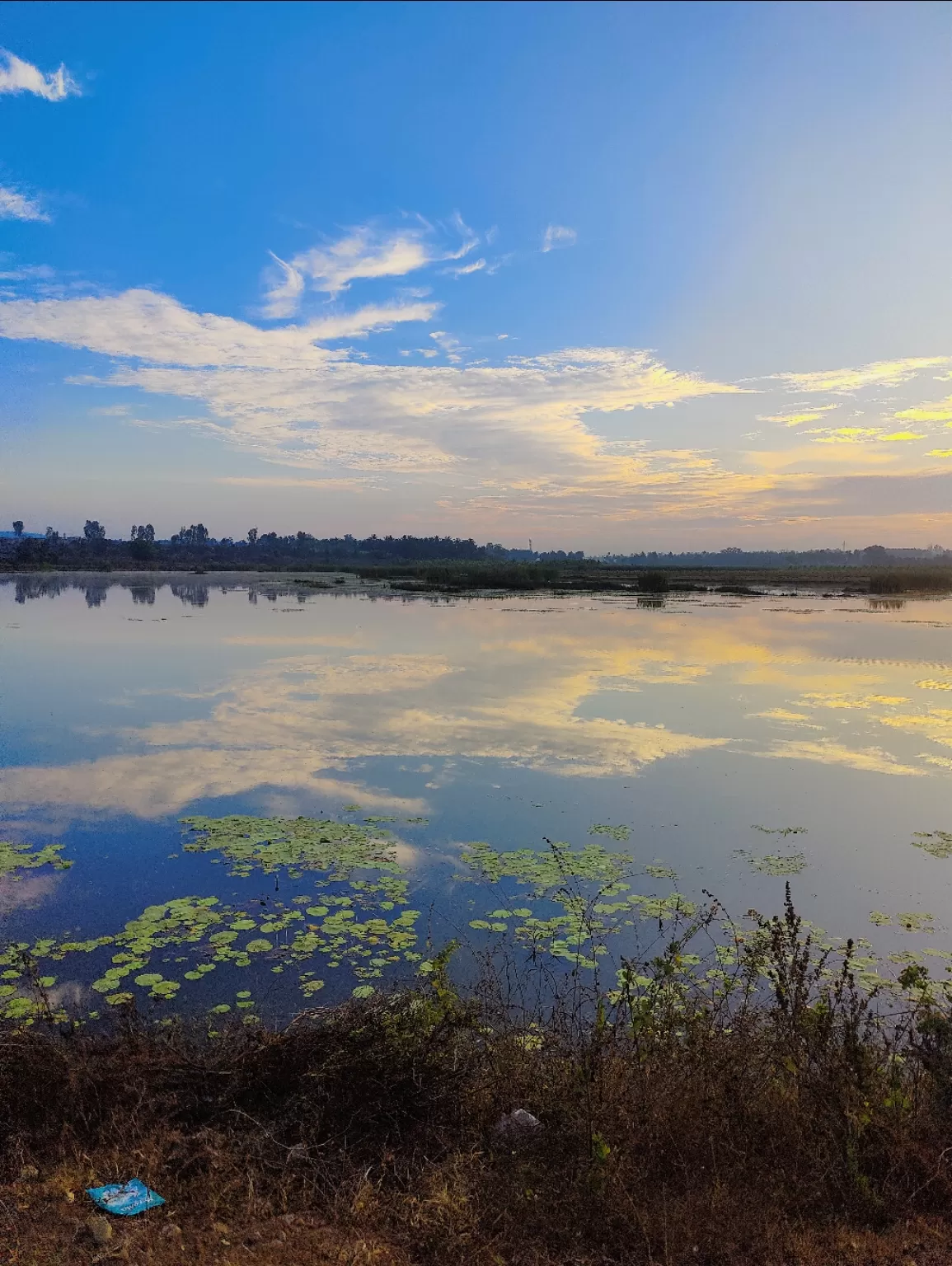 Photo of Chikmagalur By Ravi Chaurasia