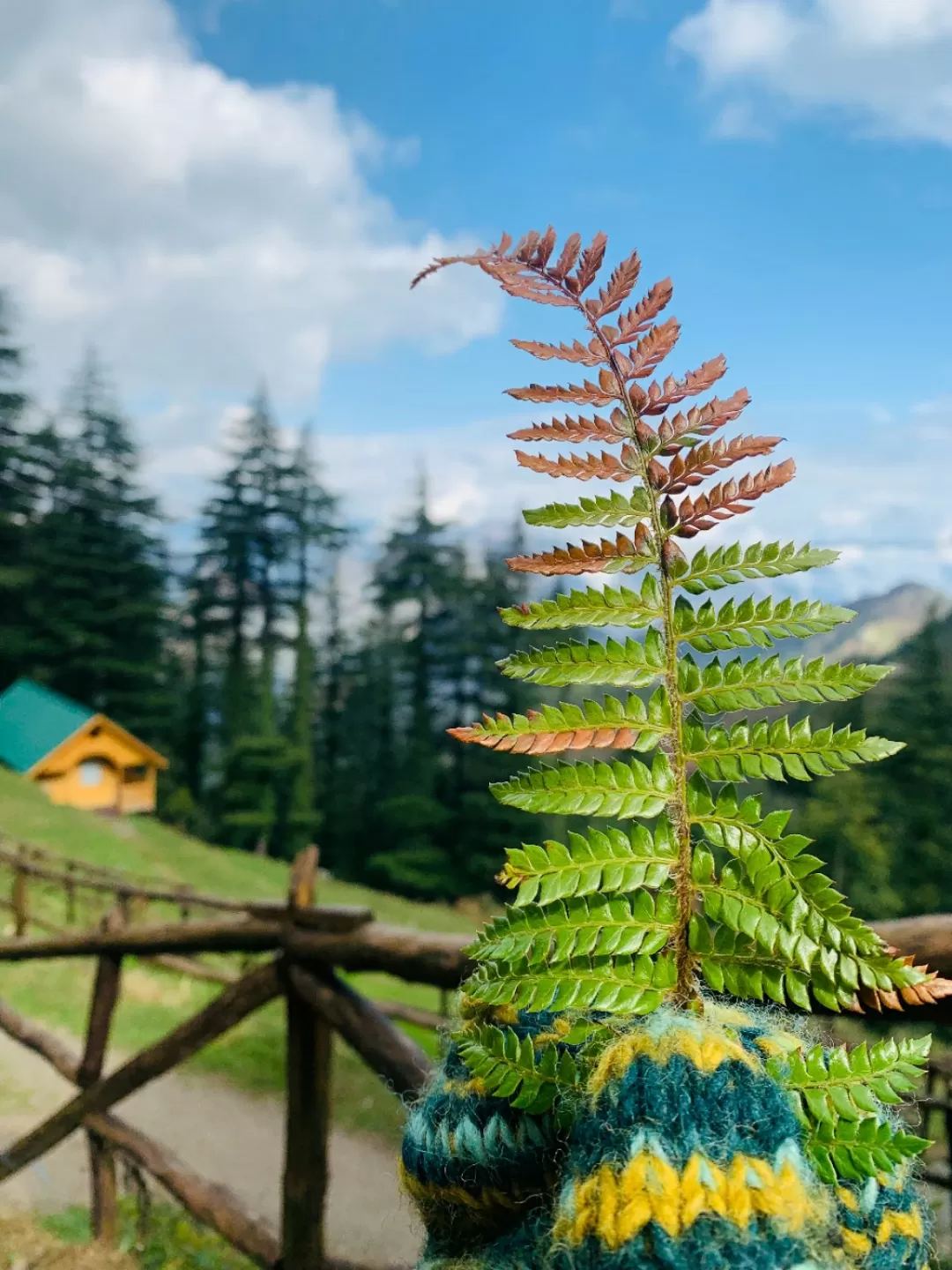 Photo of Mid Conifer Resort & Cottages By Hackingmaps