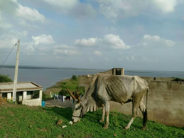 Photo of Khempur By Dharmesh Chouhan Bhoi