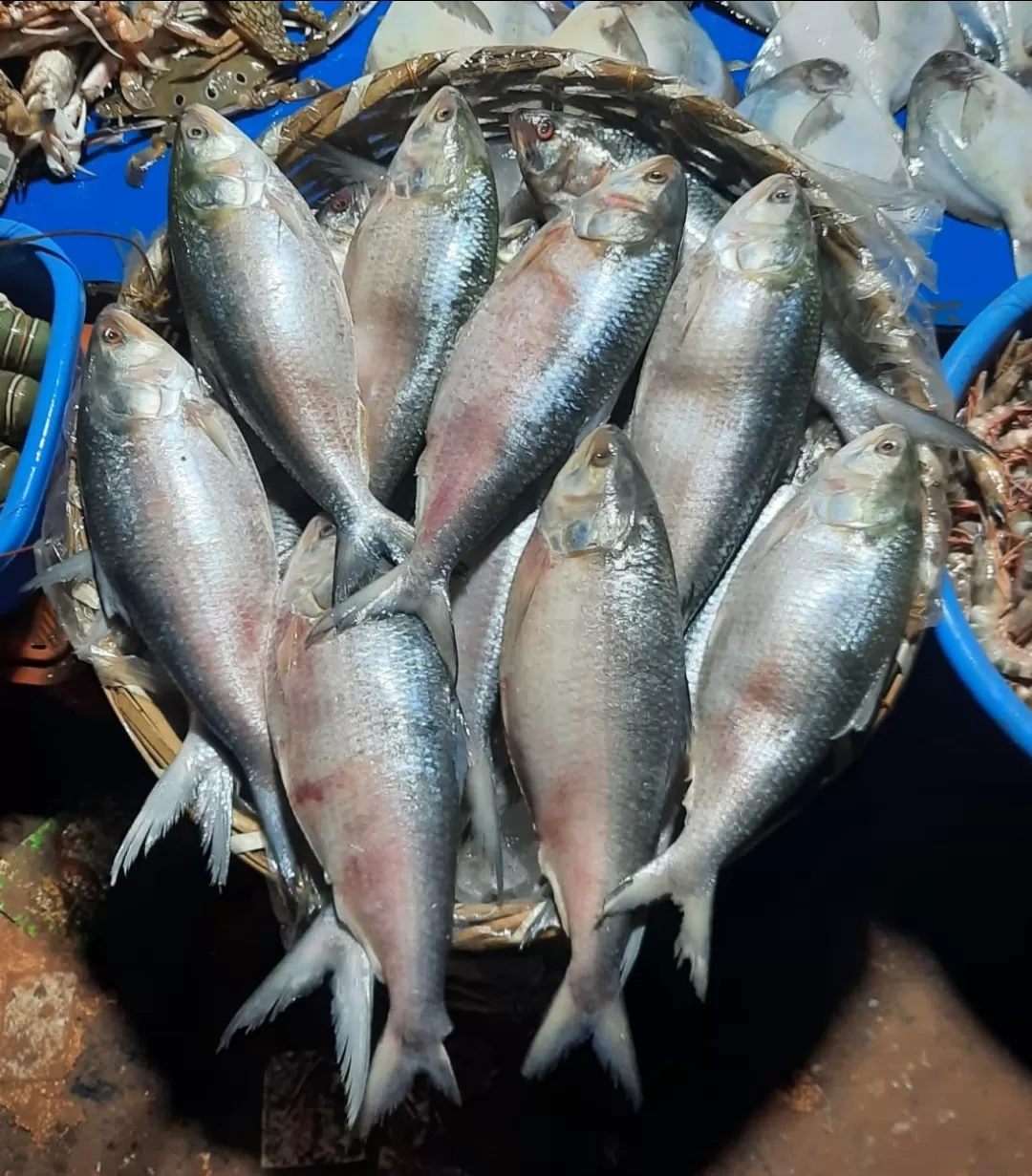 Photo of Digha By Ujjwal Mukherjee