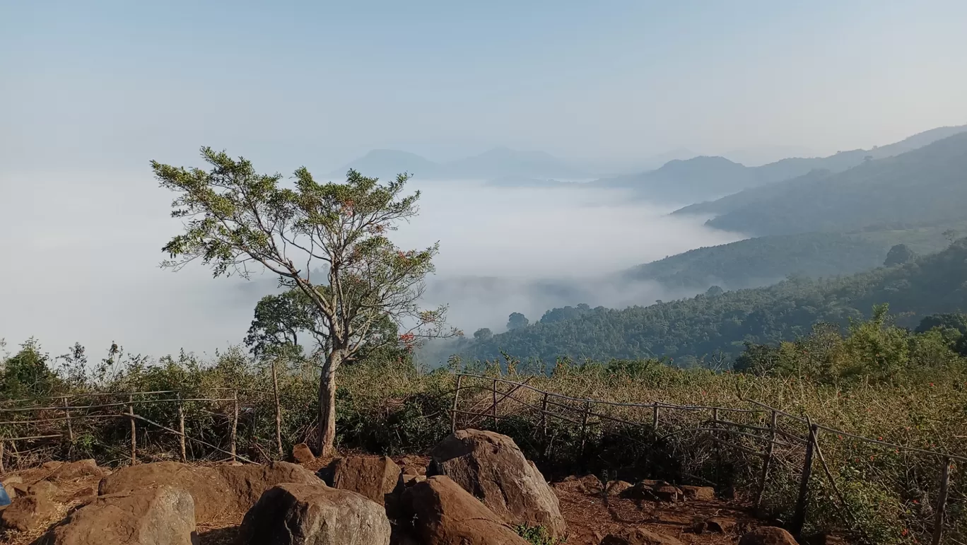 Photo of Cherla (Z) By Mahesh Siripurapu