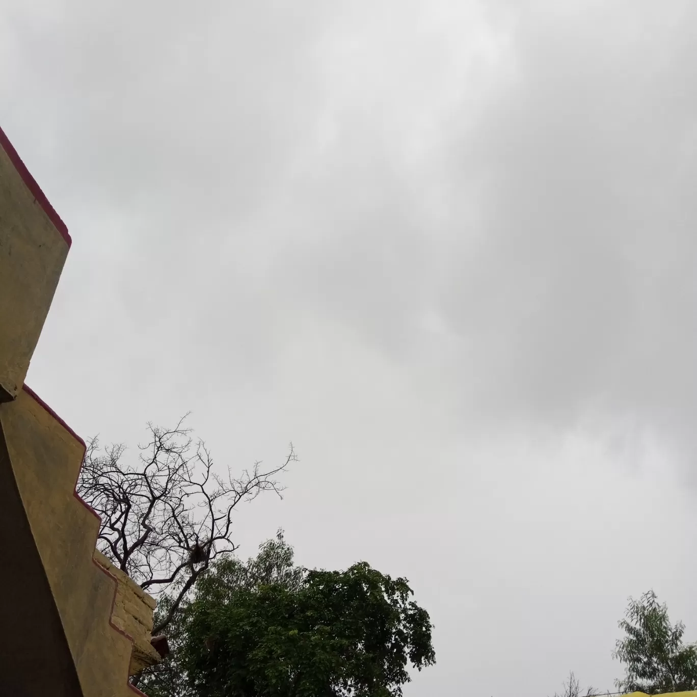 Photo of Kanauja By Nipend Sen