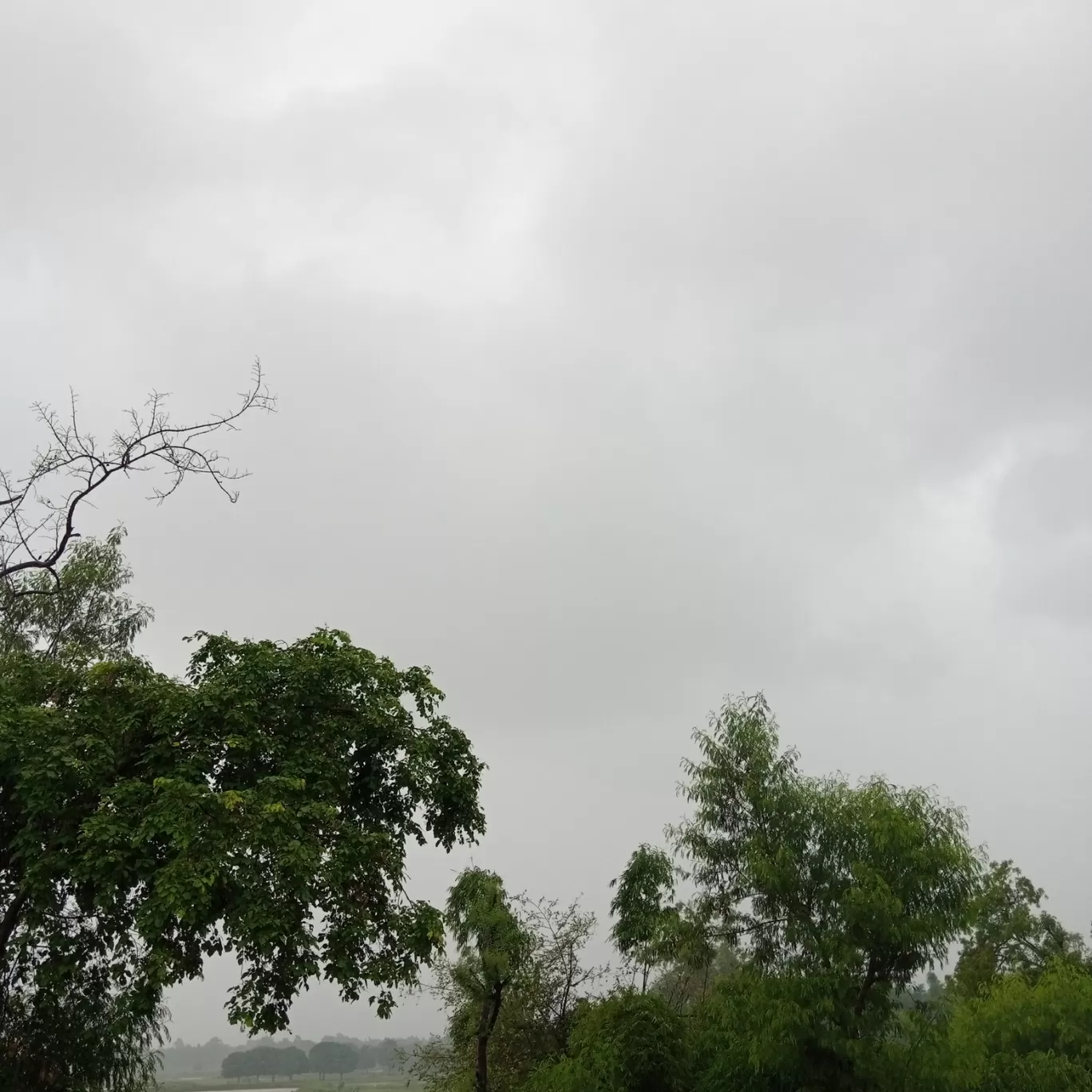 Photo of Kanauja By Nipend Sen
