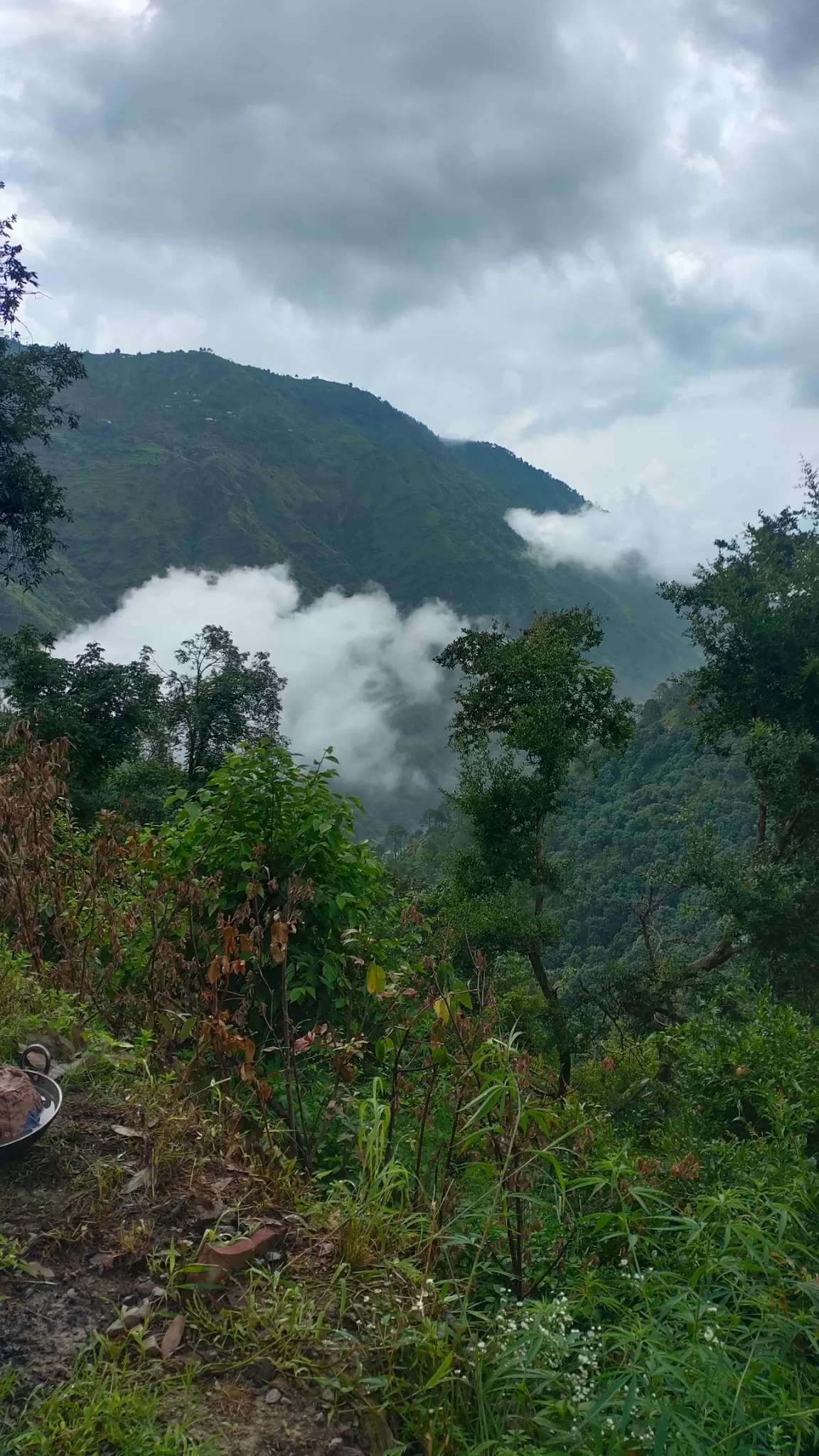 Photo of Chail By Krishan Bhatt pali nature lover