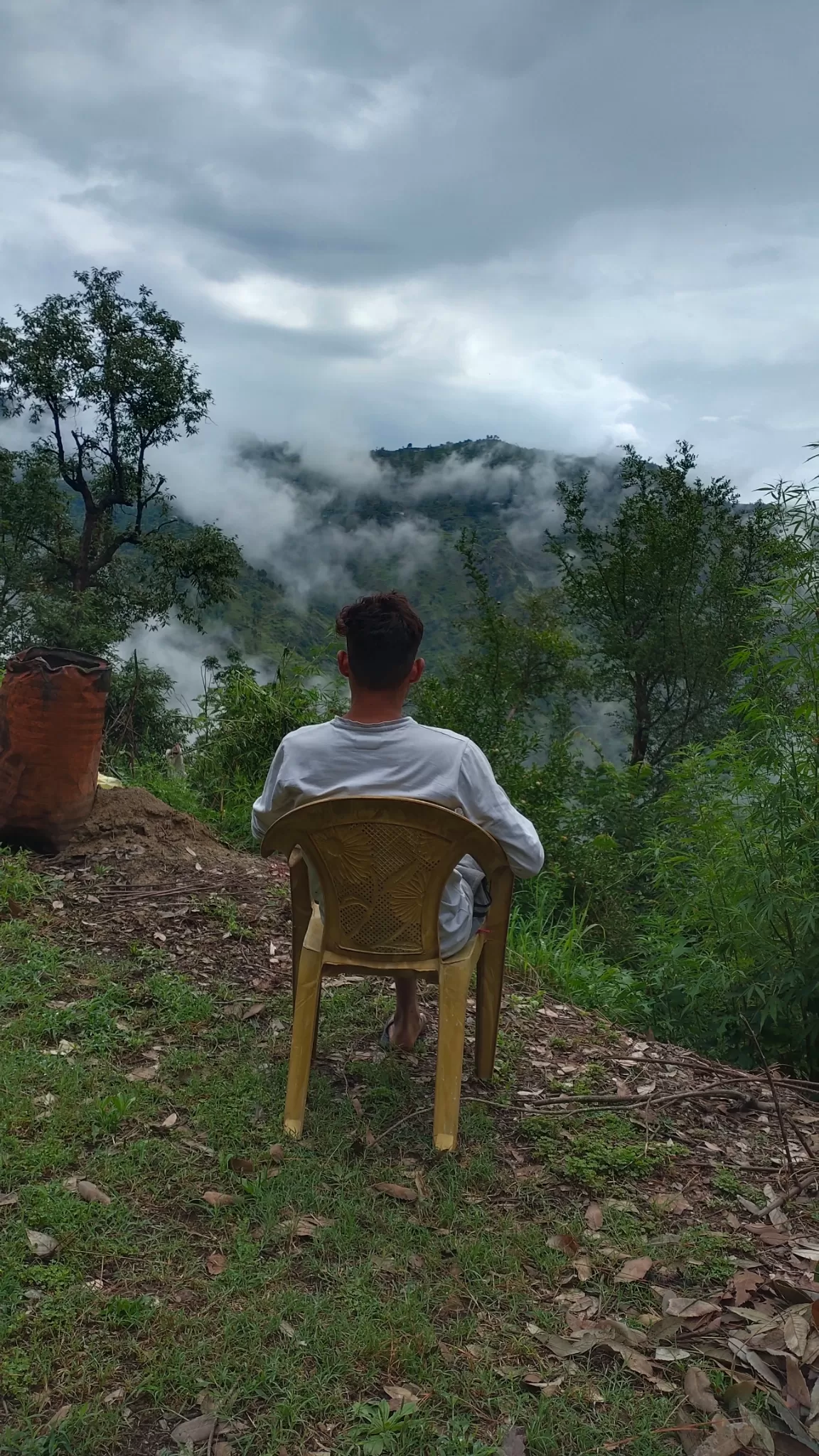 Photo of Chail By Krishan Bhatt pali nature lover
