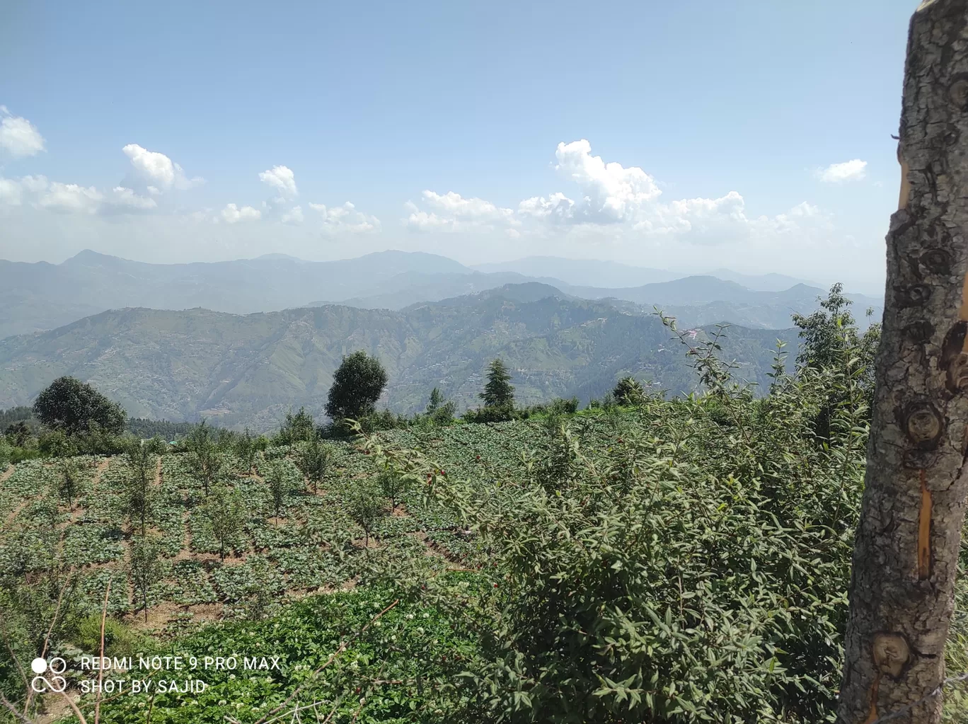 Photo of Kufri By Atul Thakur