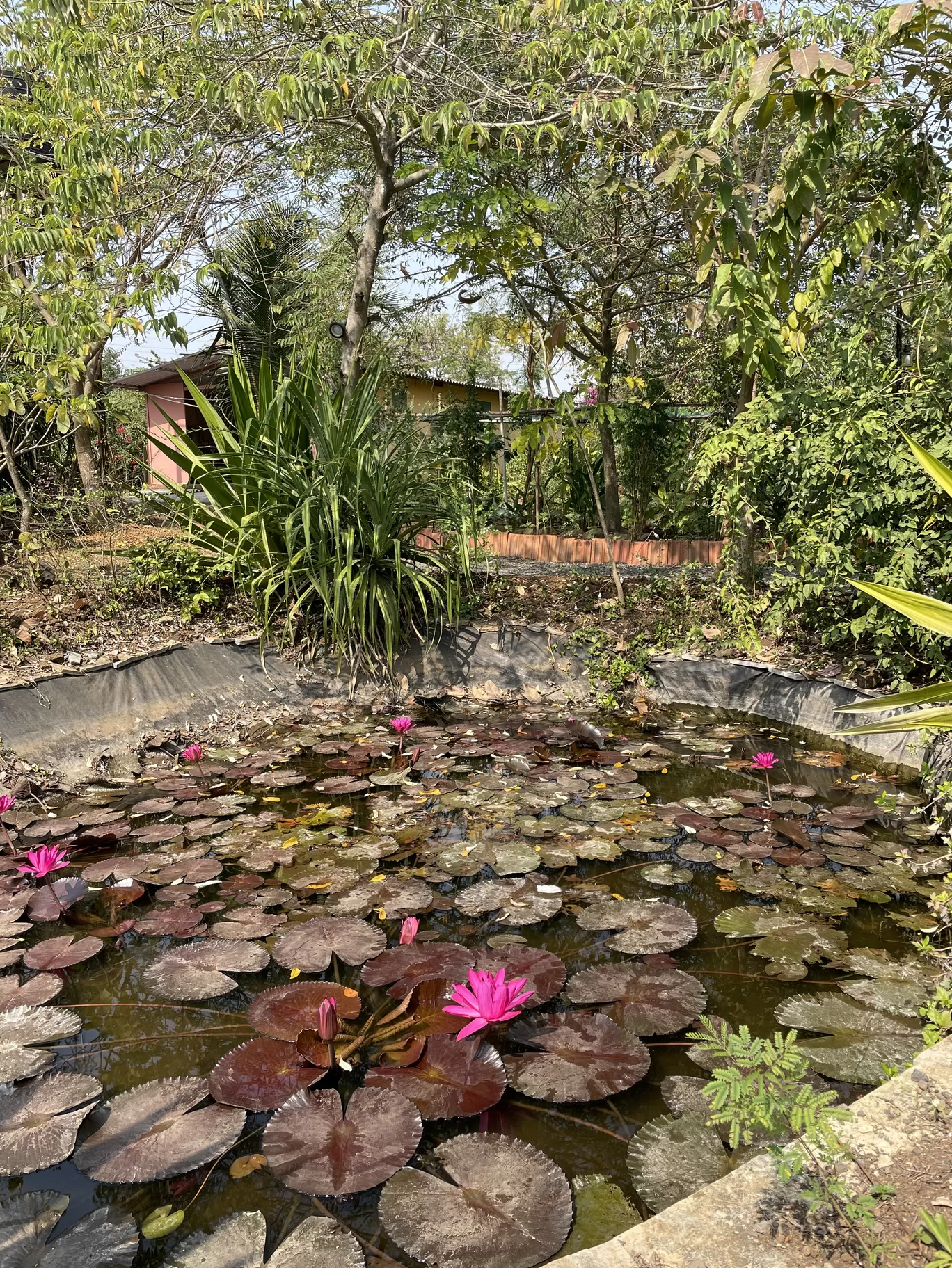 Photo of Alibag By Alisha Grover