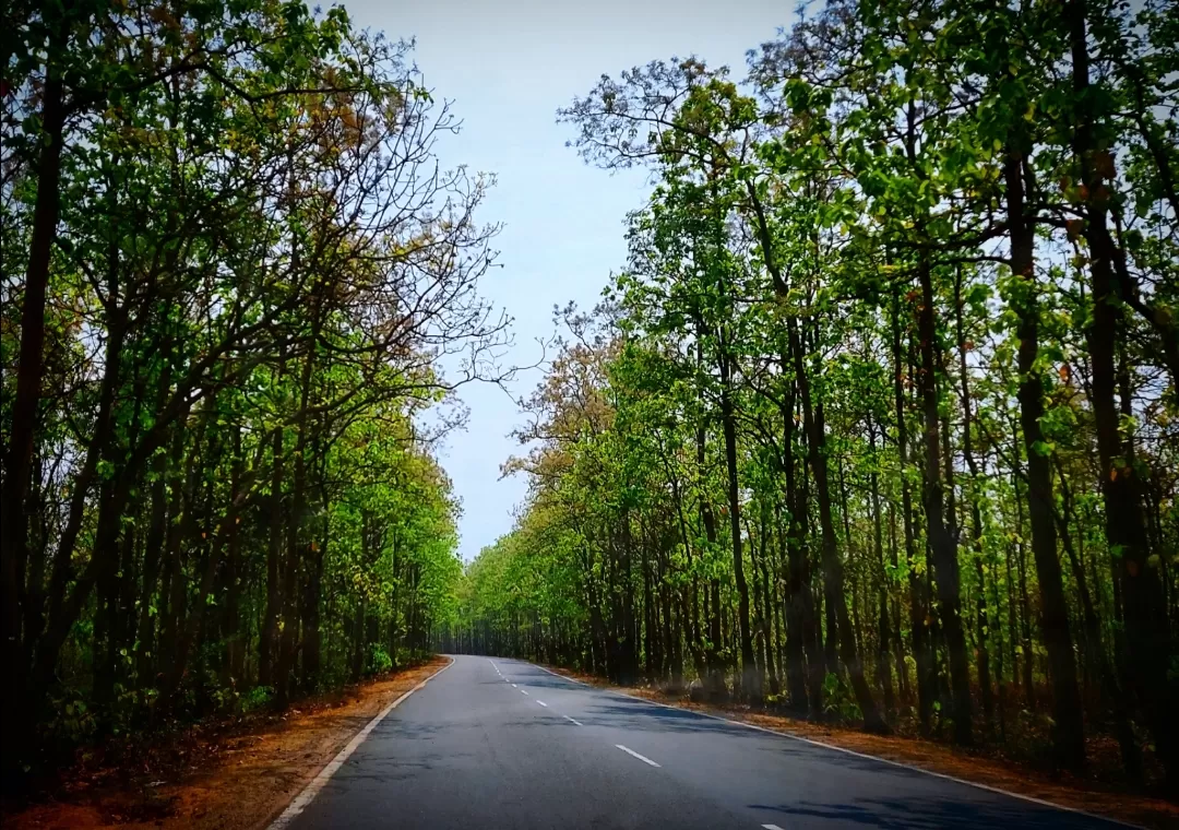 Photo of Shantiniketan By Upasana Ghosh