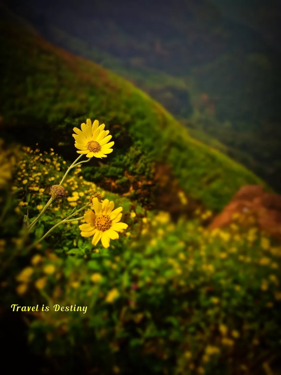 Photo of Lonavala Lake Waterfall By Travel Destiny