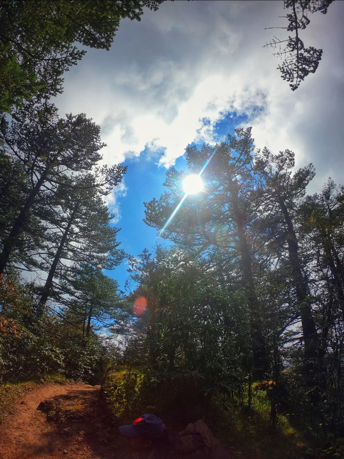 Photo of Singalila National Park By Pritam Saha