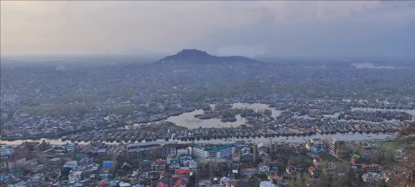 Photo of Srinagar By mujeebqayoom