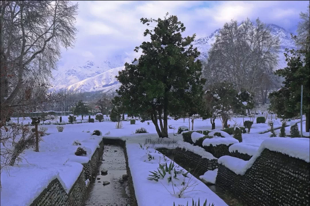 Photo of Harwan garden (sar bandh) By mujeebqayoom