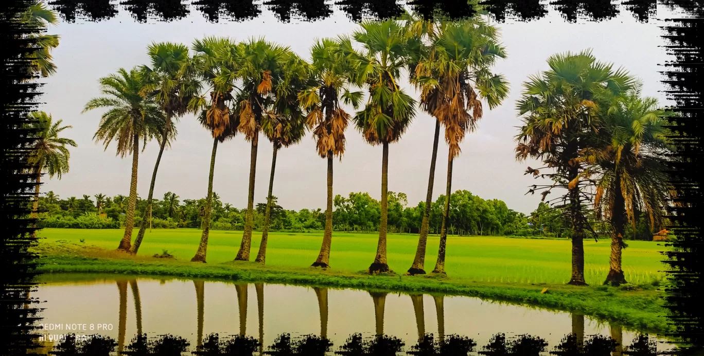 Photo of Sundarban By Poulami Ghosh Dutta