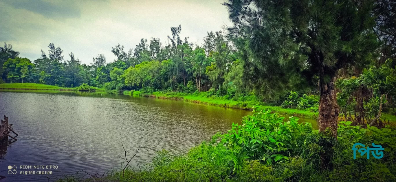 Photo of Sundarban By Poulami Ghosh Dutta
