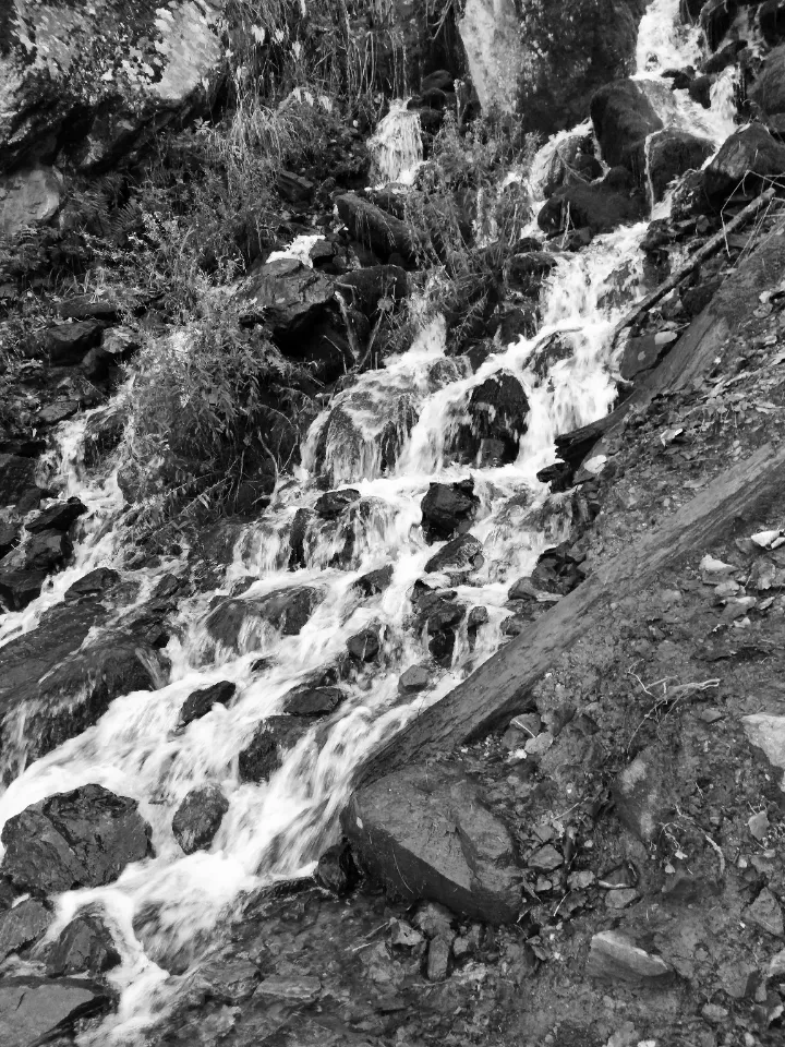 Photo of Kheerganga Trek By Destiny.