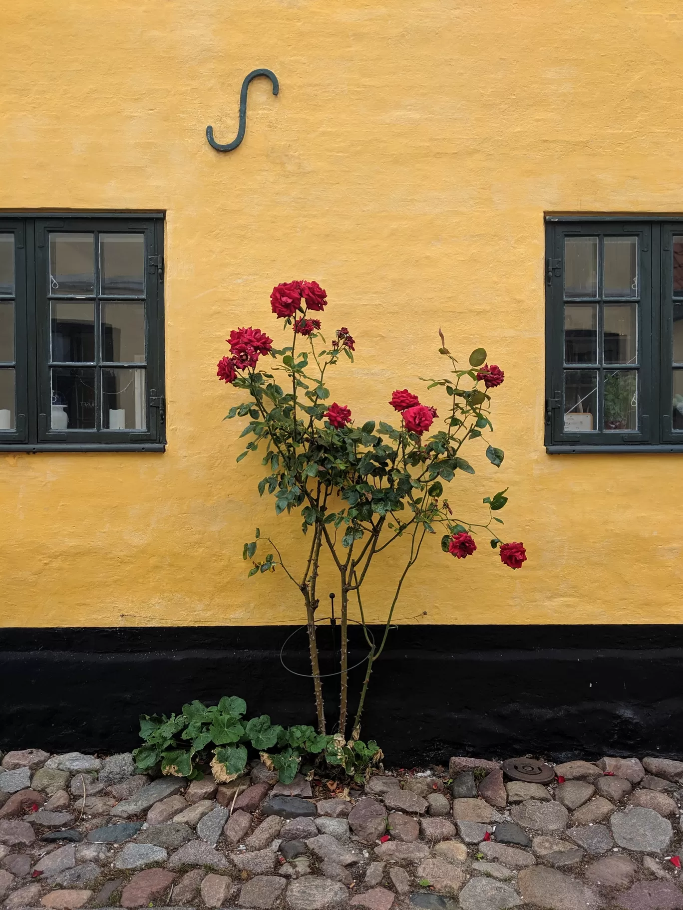 Photo of Europe By Chetna
