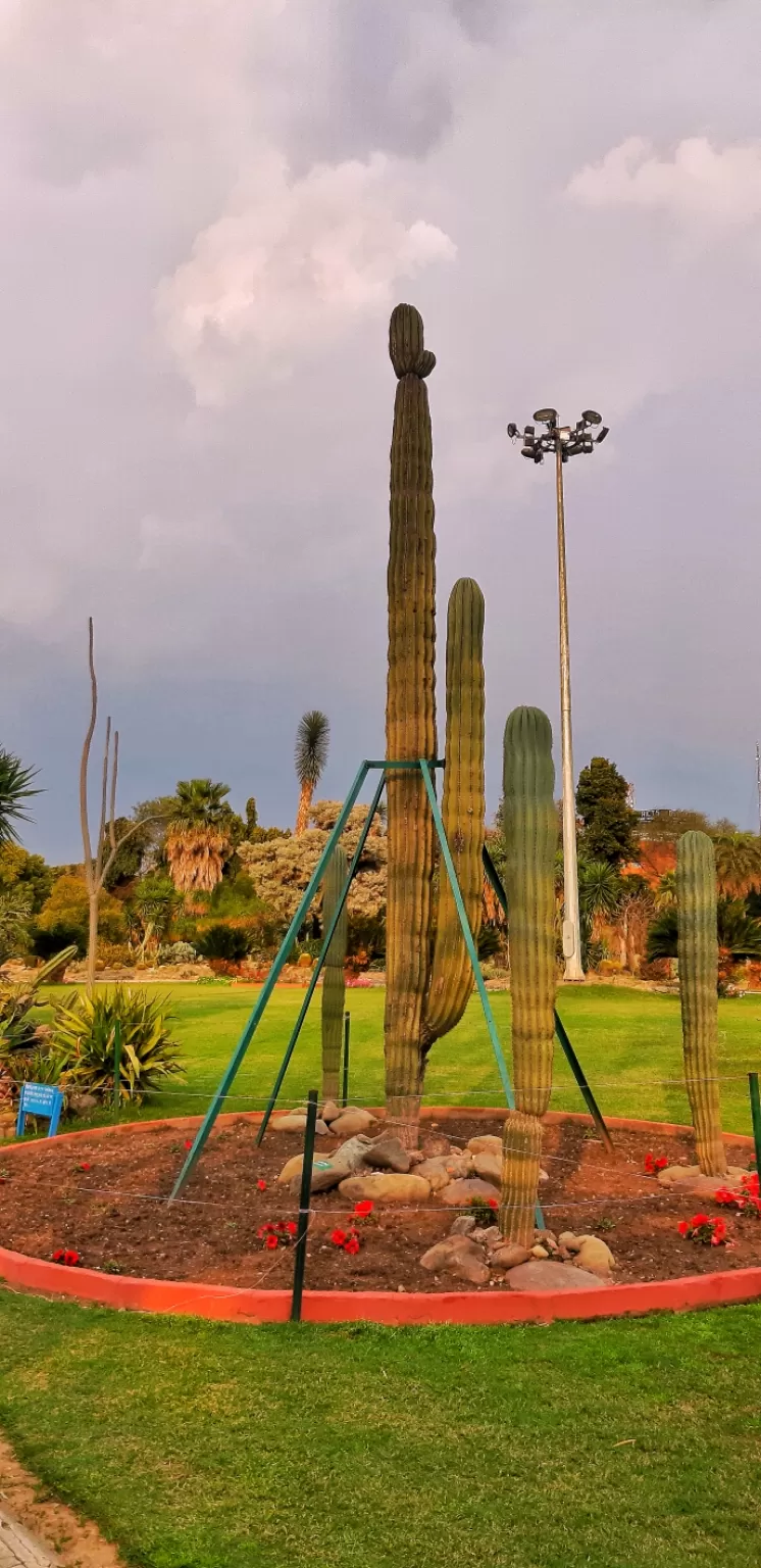 Photo of Cactus Garden By Shubham Jogia