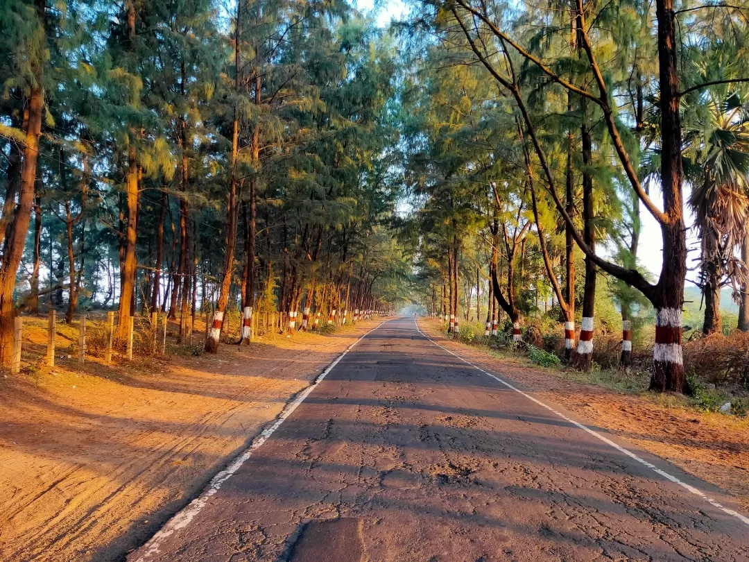 Photo of Dahanu Road By Go Crazy Blogger