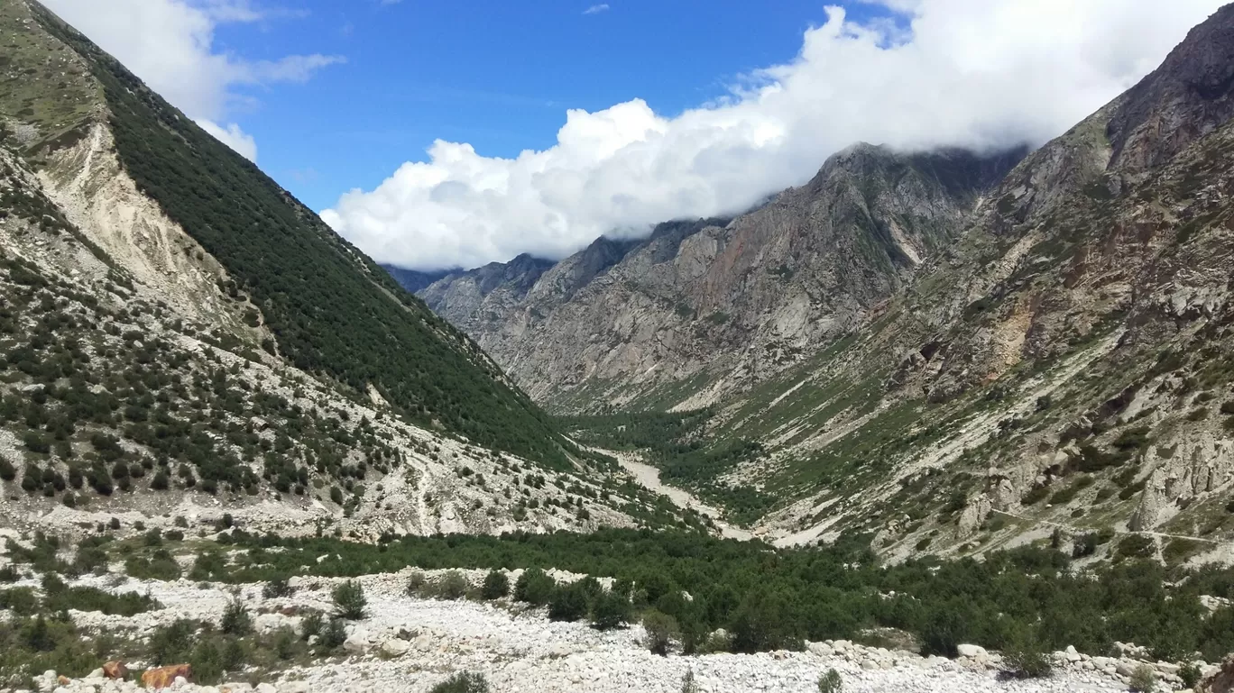 Photo of Gangotri By Nishant Choudhary