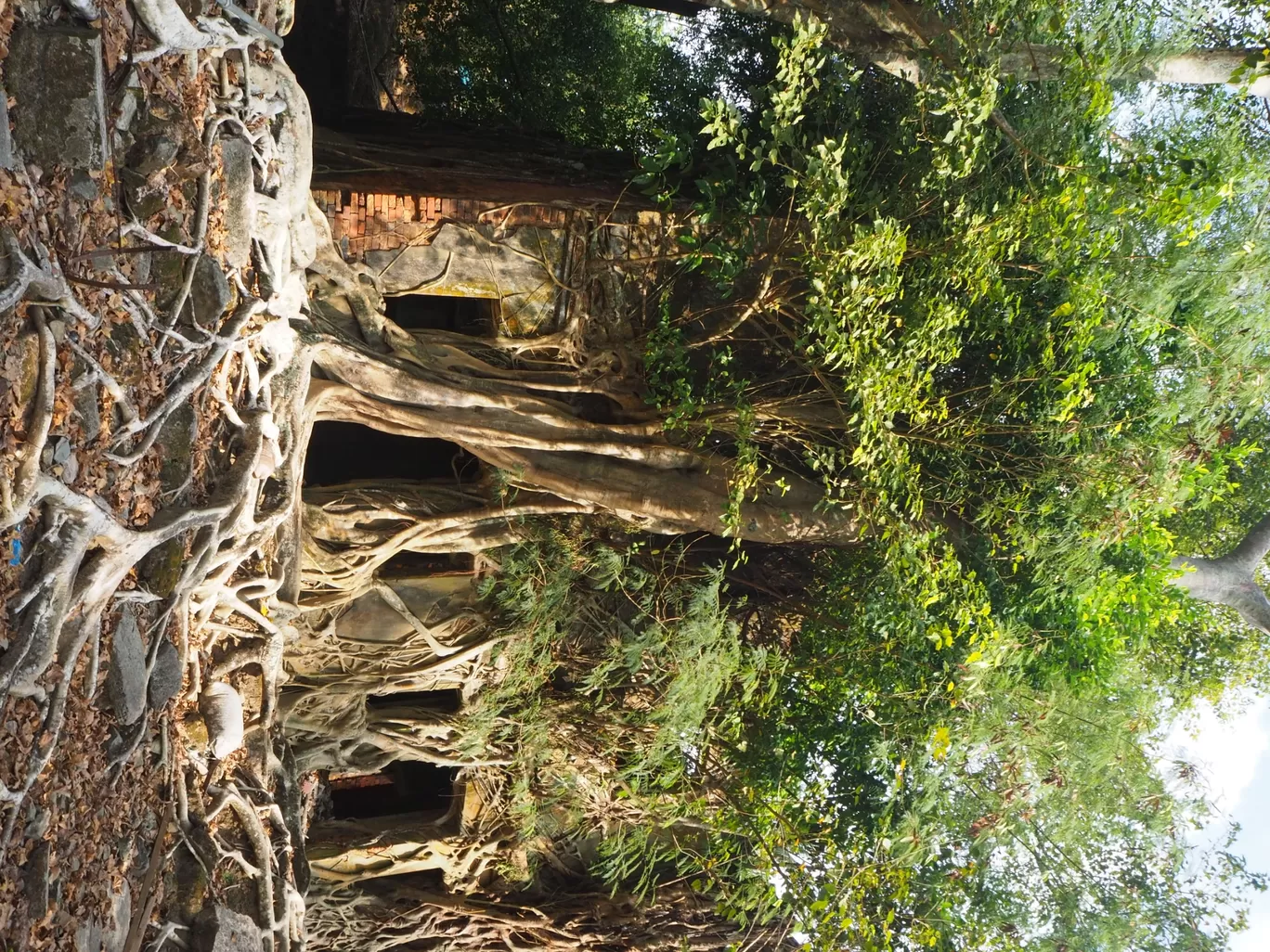 Photo of Andaman and Nicobar Islands By Pragati Tole