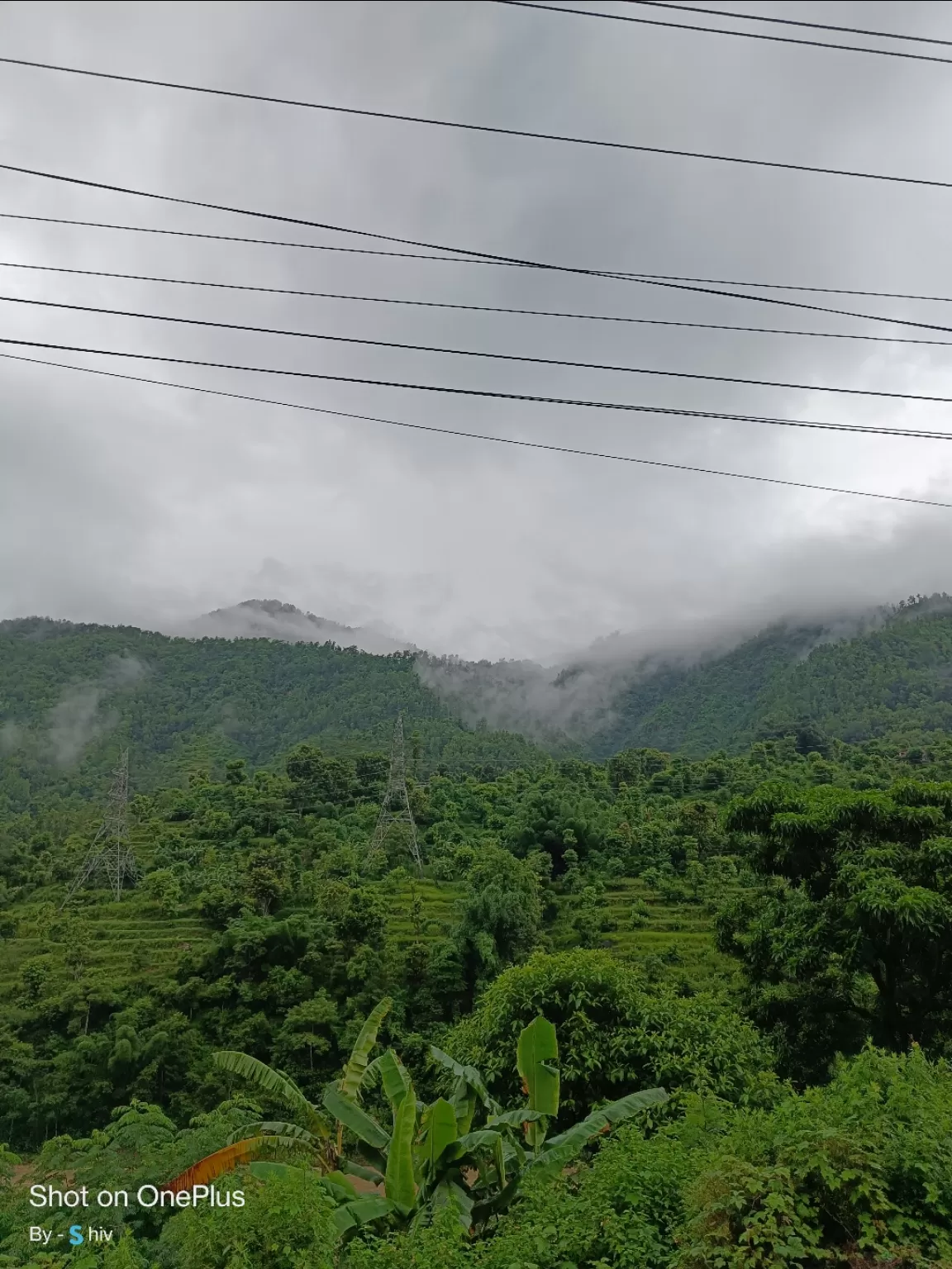 Photo of Nature Home By Shiv Sarle 