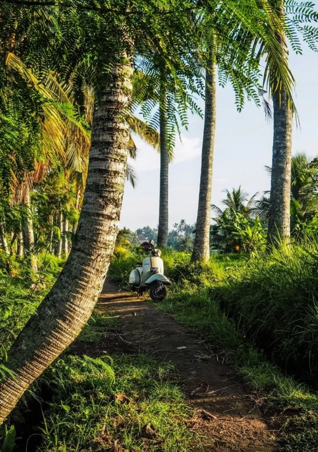 Photo of Alleppey By ROYAL traveller 0707