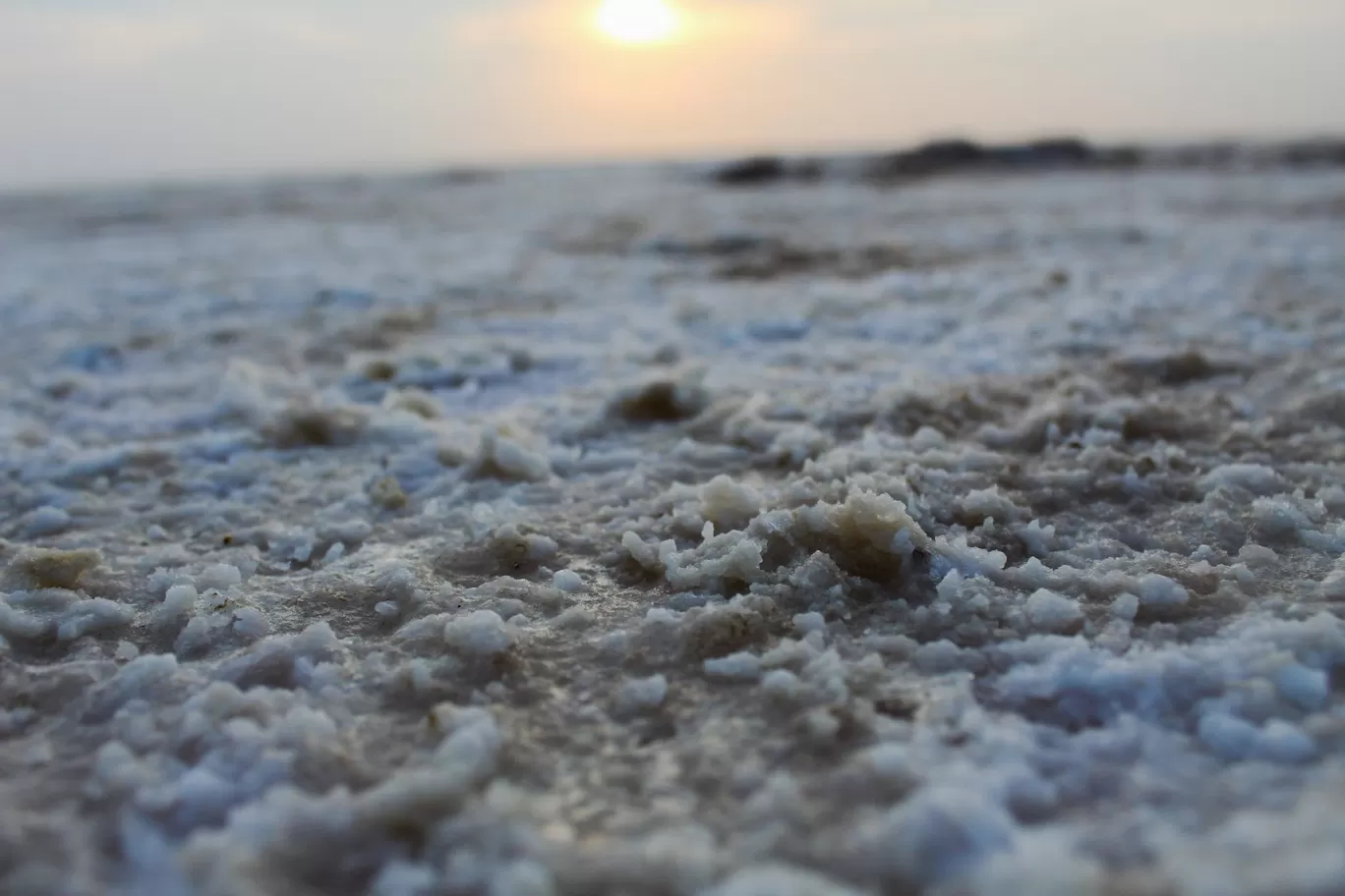 Photo of Rann of Kutch By Bhagyasrre Manoj Kumar