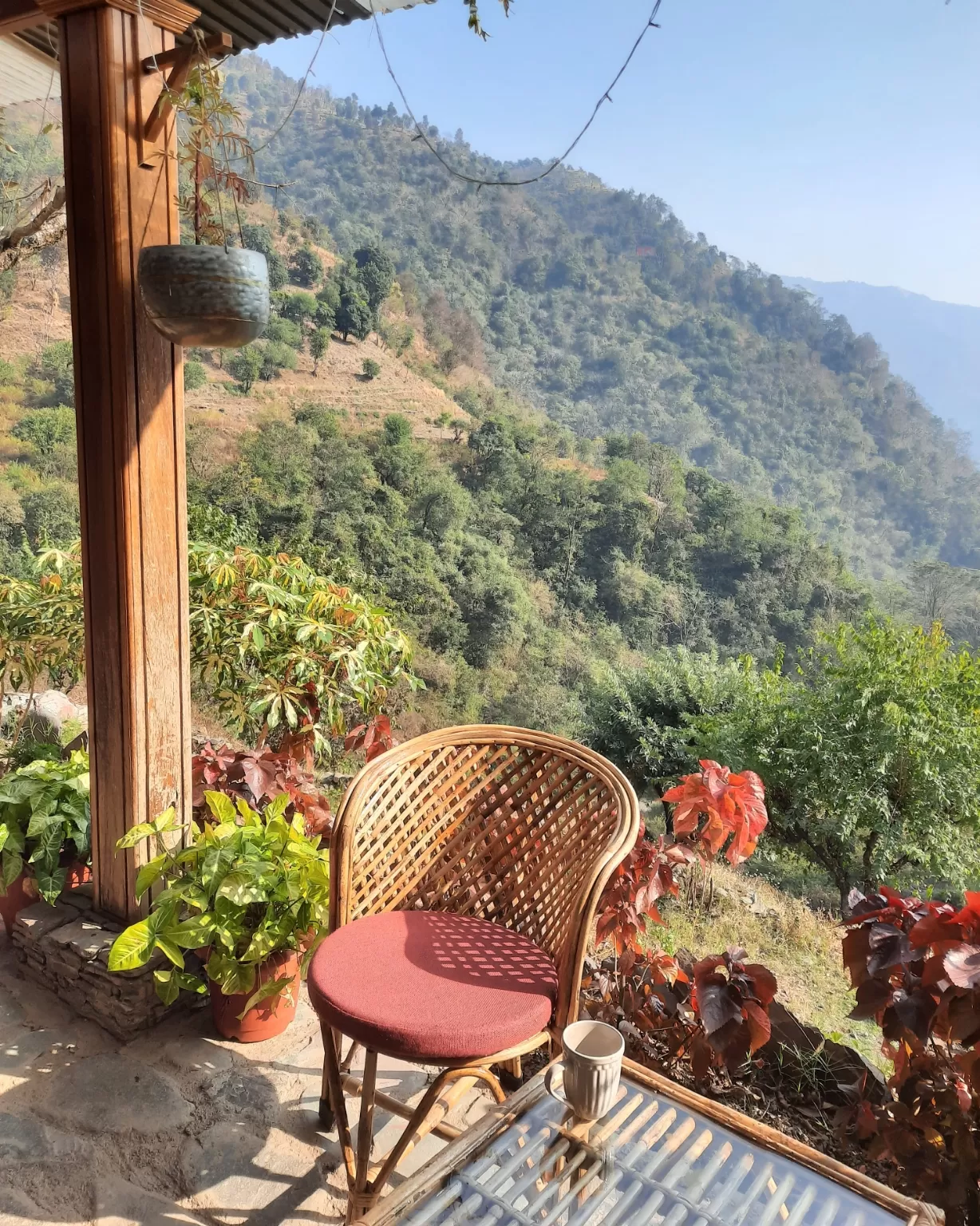 Photo of Thano By Roli Agarwal