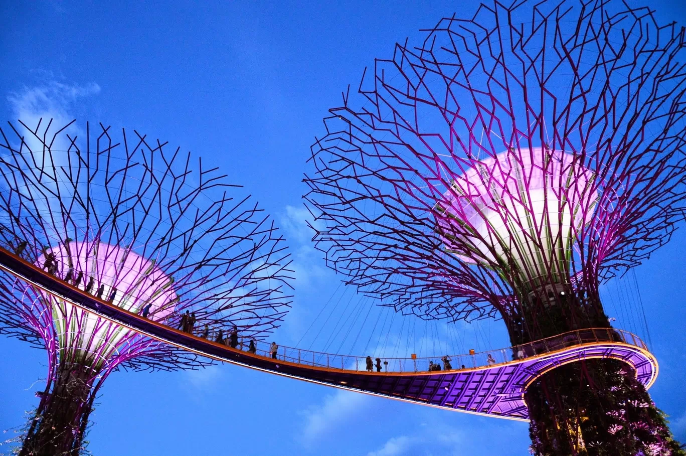 Photo of Gardens by the Bay By Roli Agarwal
