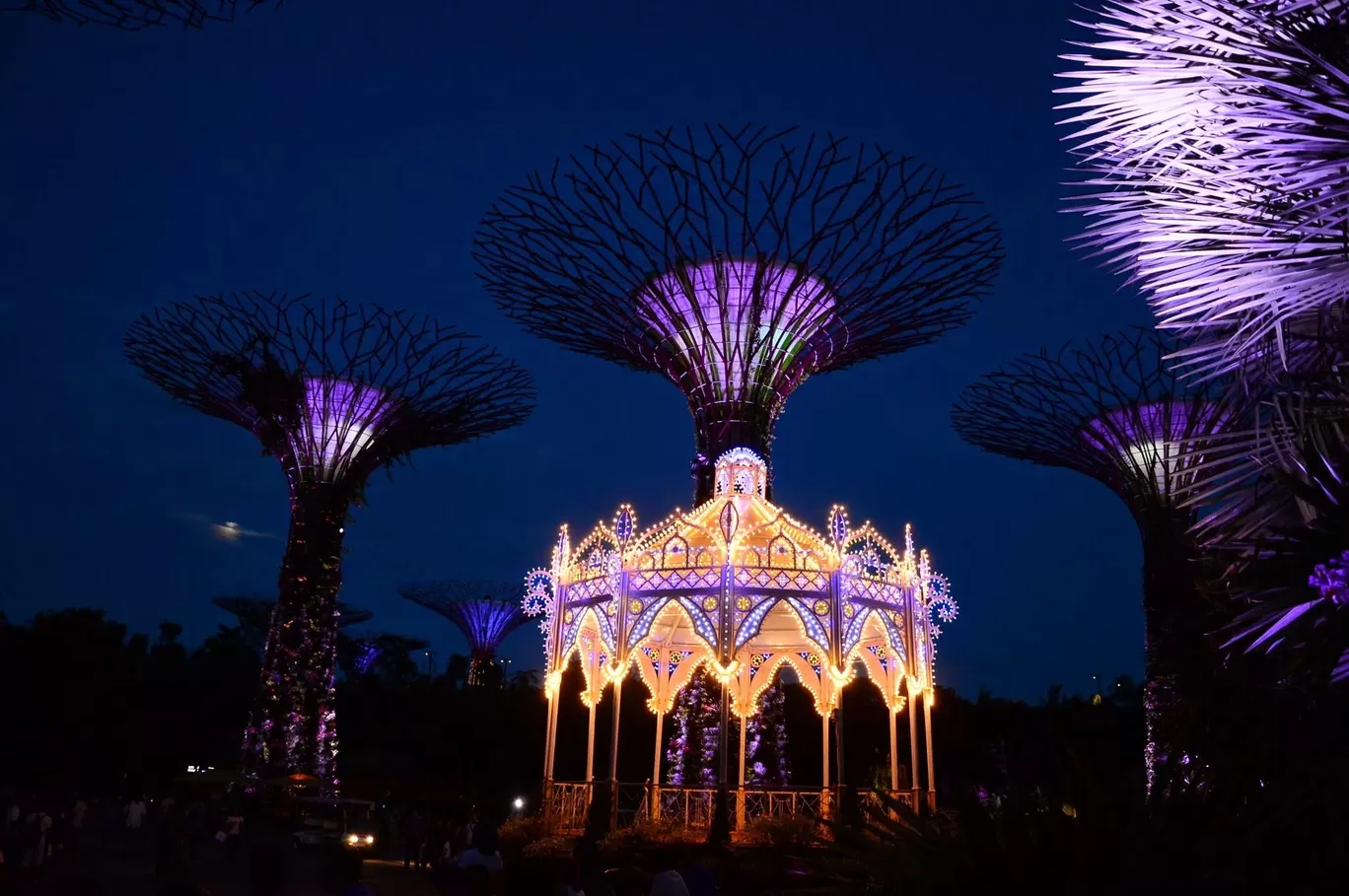 Photo of Gardens by the Bay By Roli Agarwal