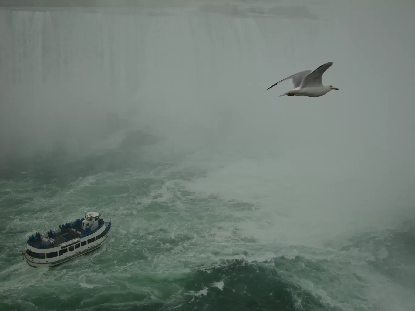 Photo of Niagara Falls By Bikram Panda