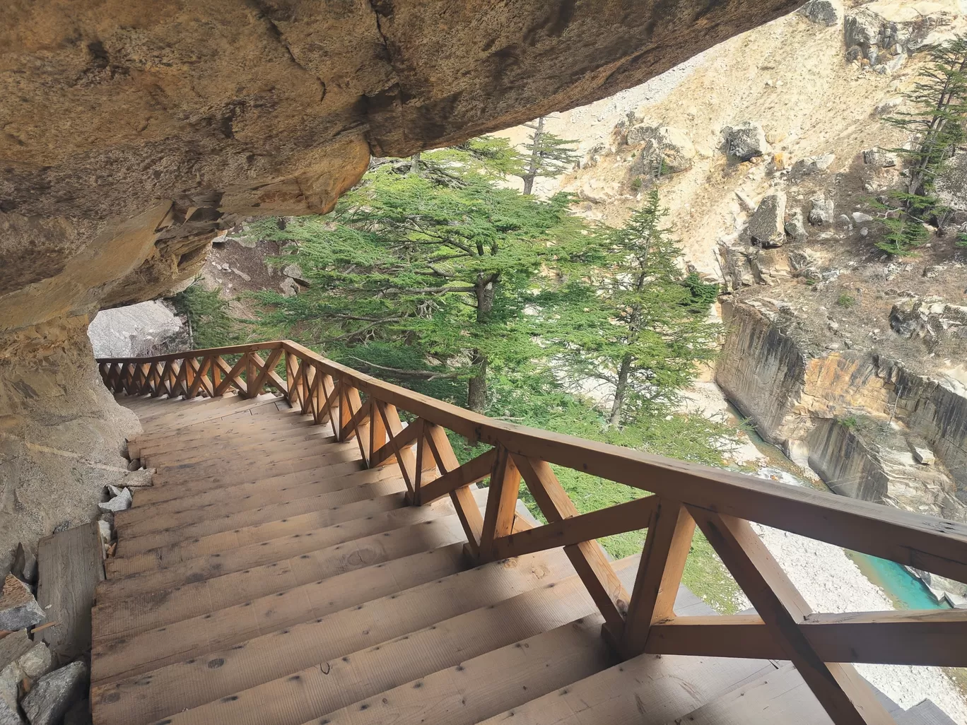 Photo of Gangotri National Park By Gaurav Joshi