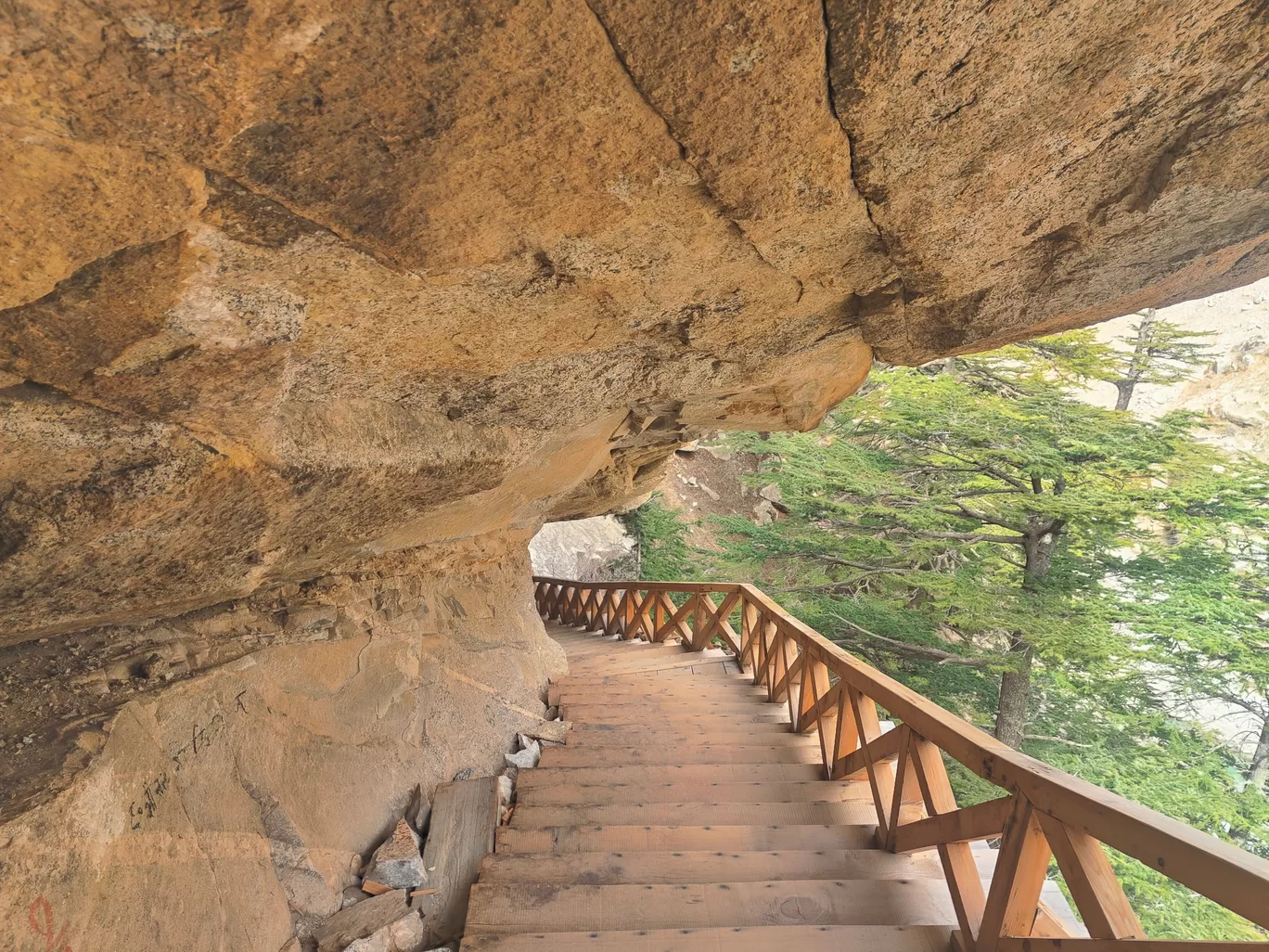 Photo of Gangotri National Park By Gaurav Joshi