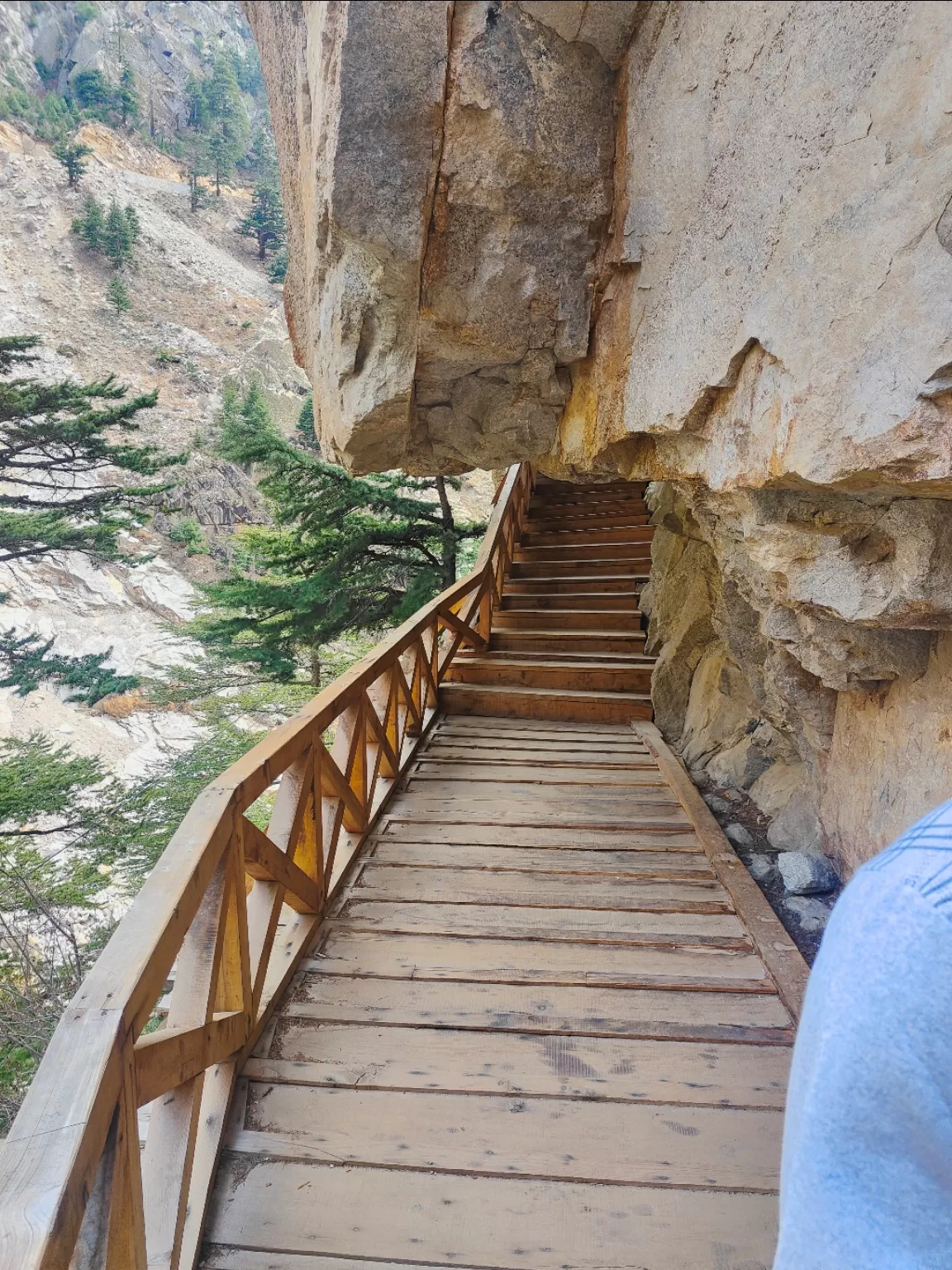 Photo of Gangotri National Park By Gaurav Joshi