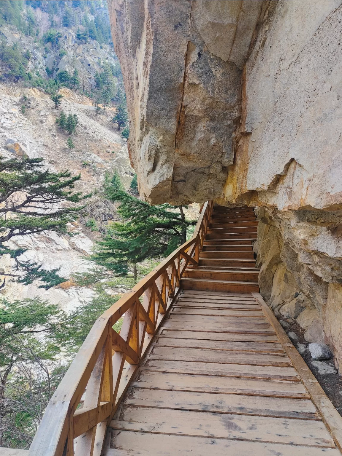 Photo of Gangotri National Park By Gaurav Joshi