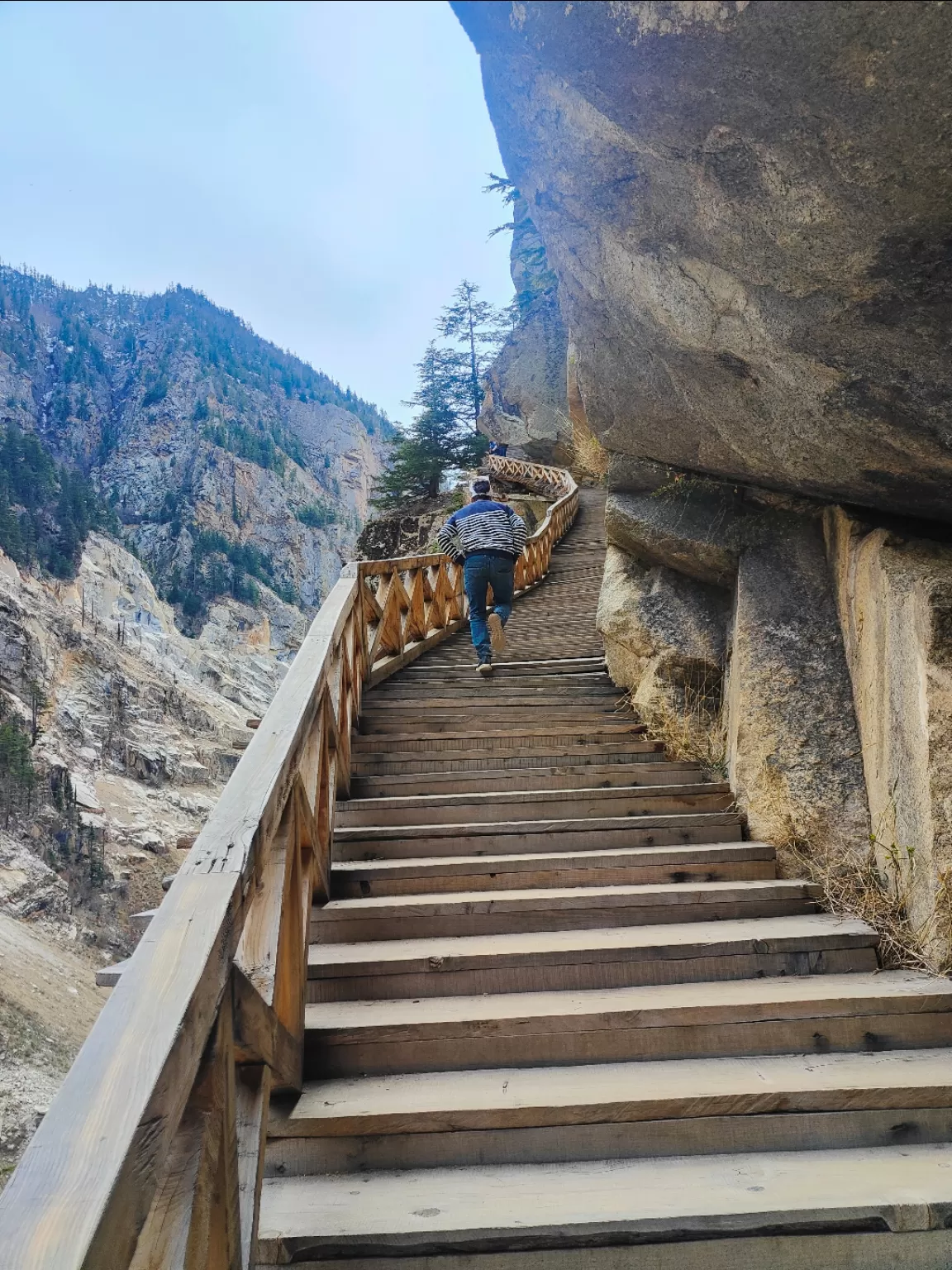 Photo of Gangotri National Park By Gaurav Joshi