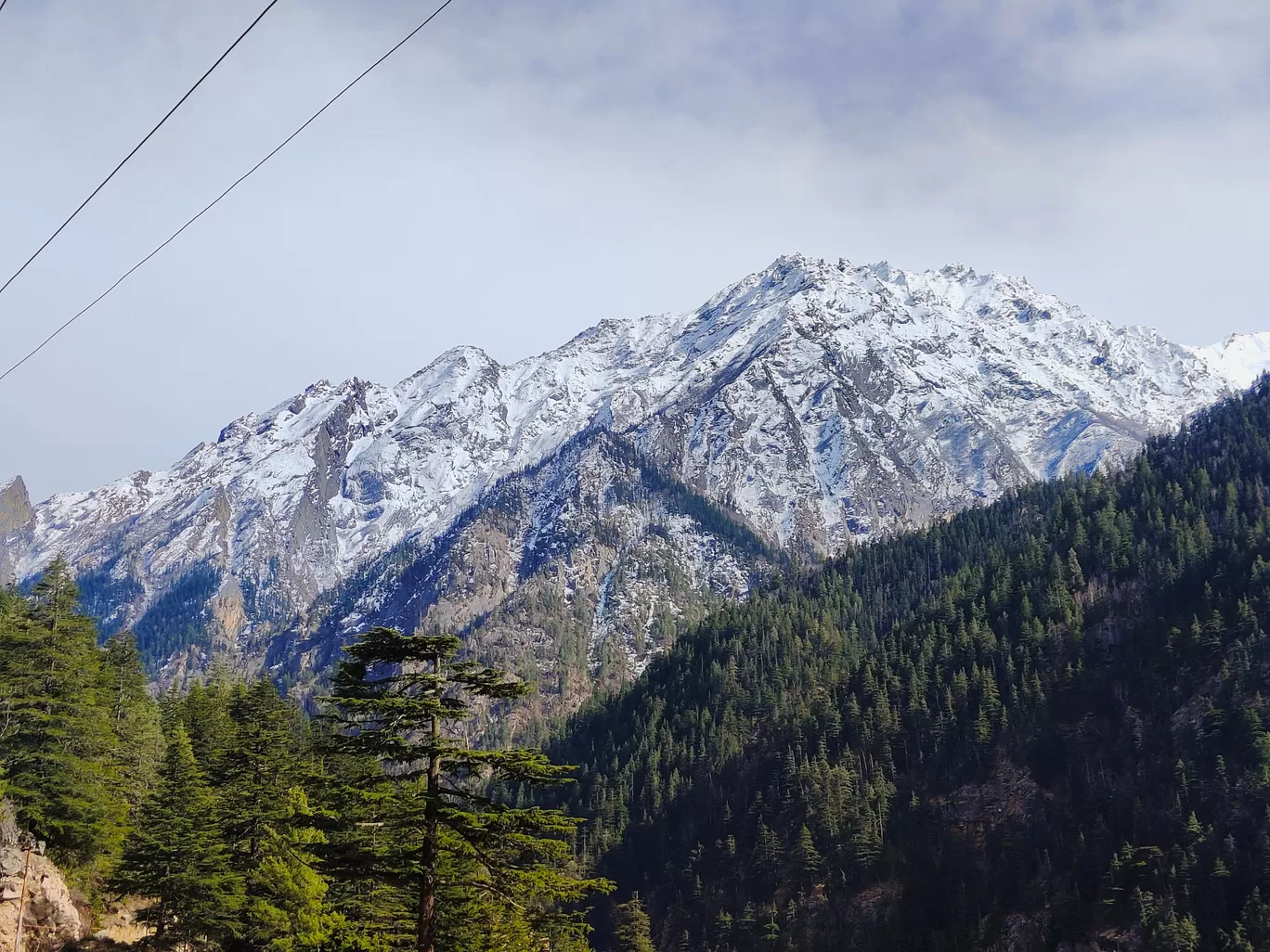 Photo of Gangotri National Park By Gaurav Joshi