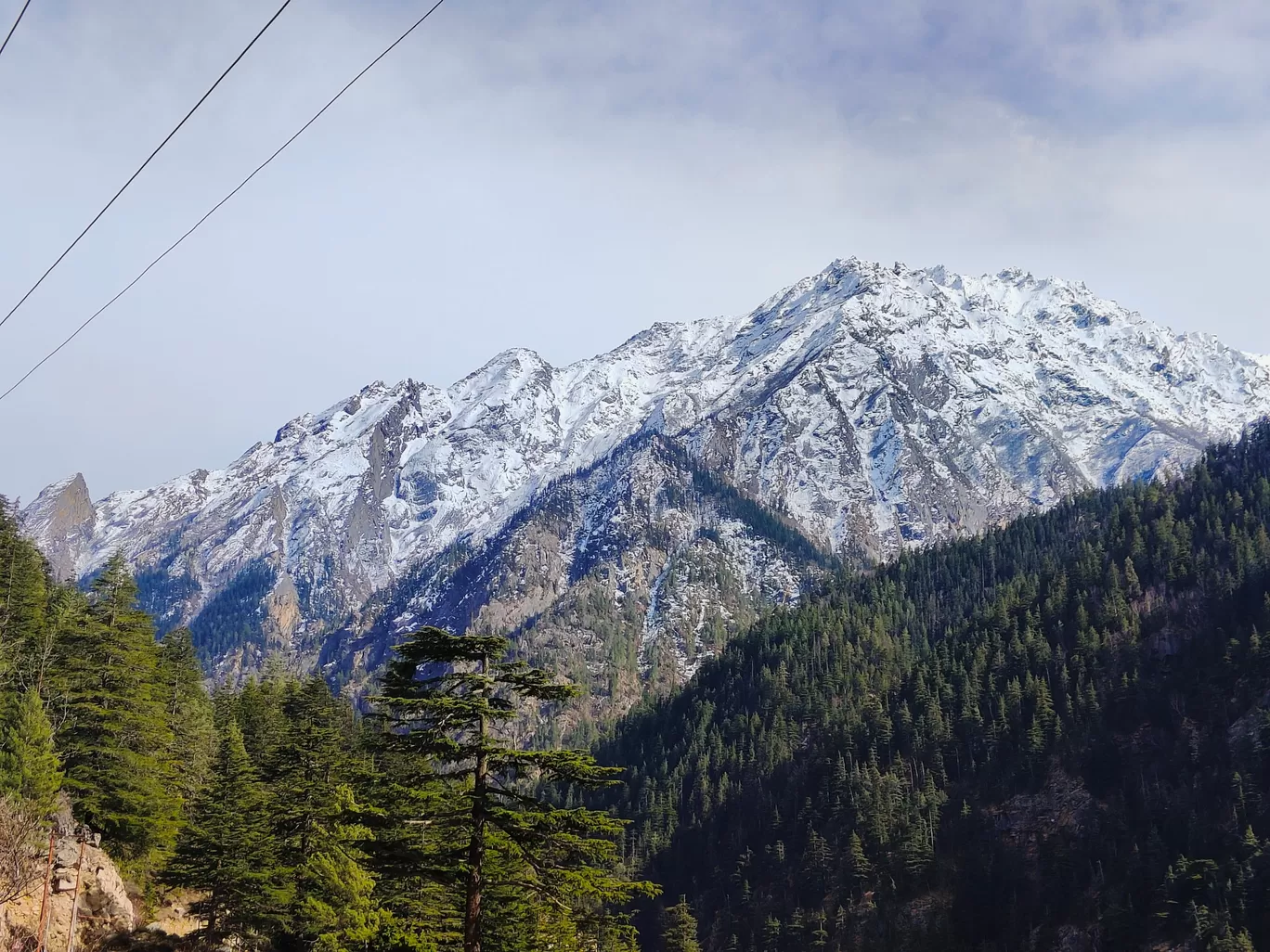 Photo of Gangotri National Park By Gaurav Joshi