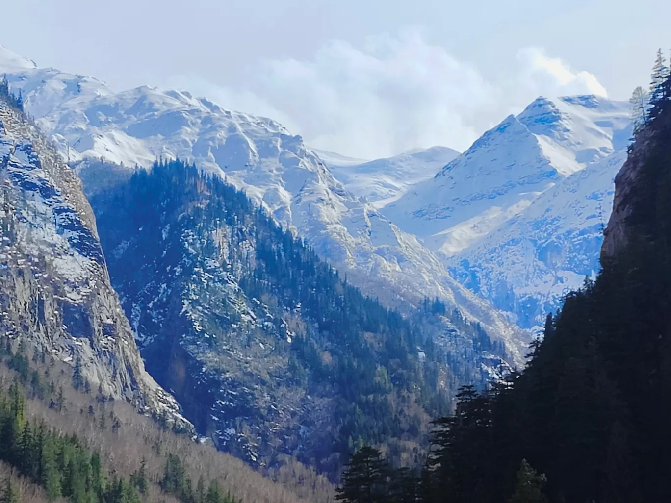 Photo of Gangotri National Park By Gaurav Joshi