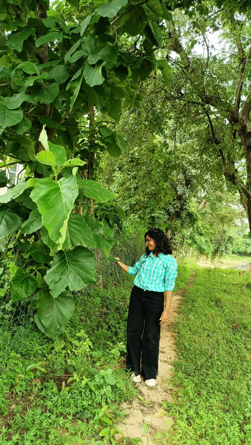 Photo of Tikamgarh By Sadhna Singh