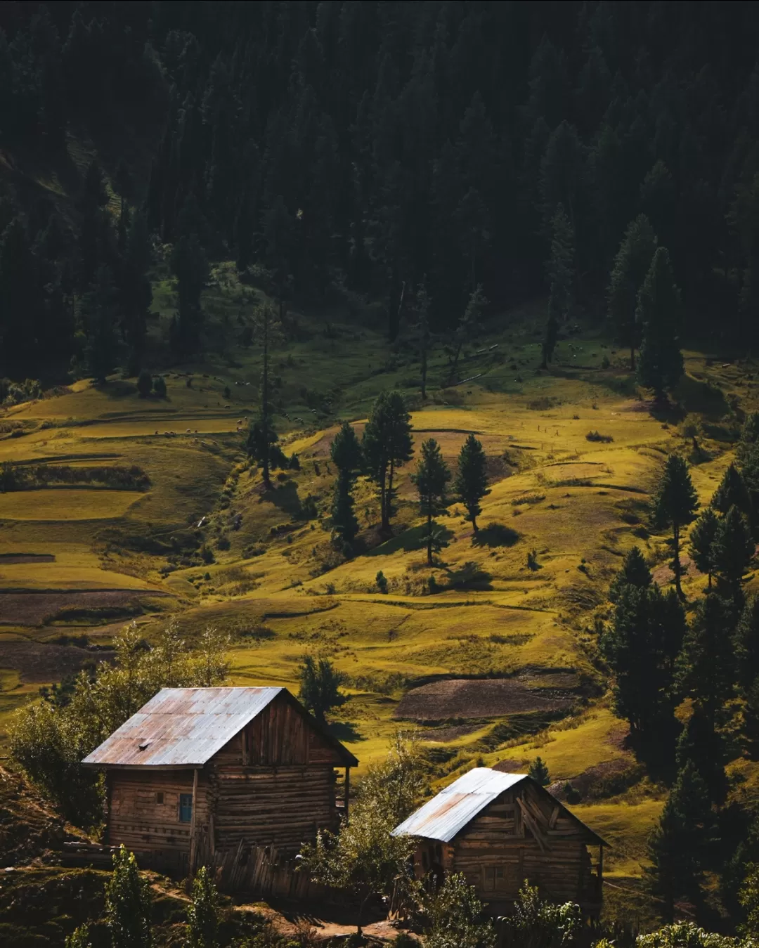 Photo of Tulail Valley By Azmat Khurshid