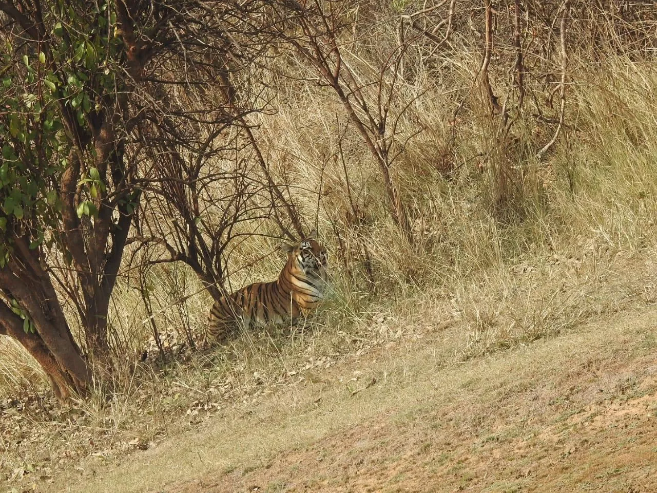 Photo of Chimur By Anil yadav