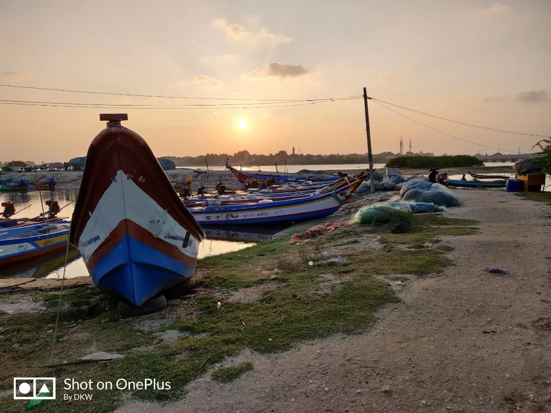 Photo of Pulicat Lake By DARSHIT K WORA