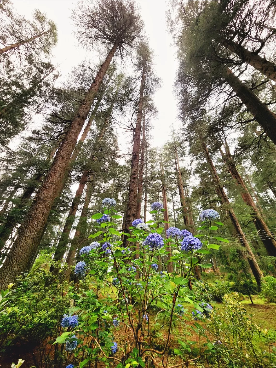 Photo of Miyar Valley By DARSHIT K WORA