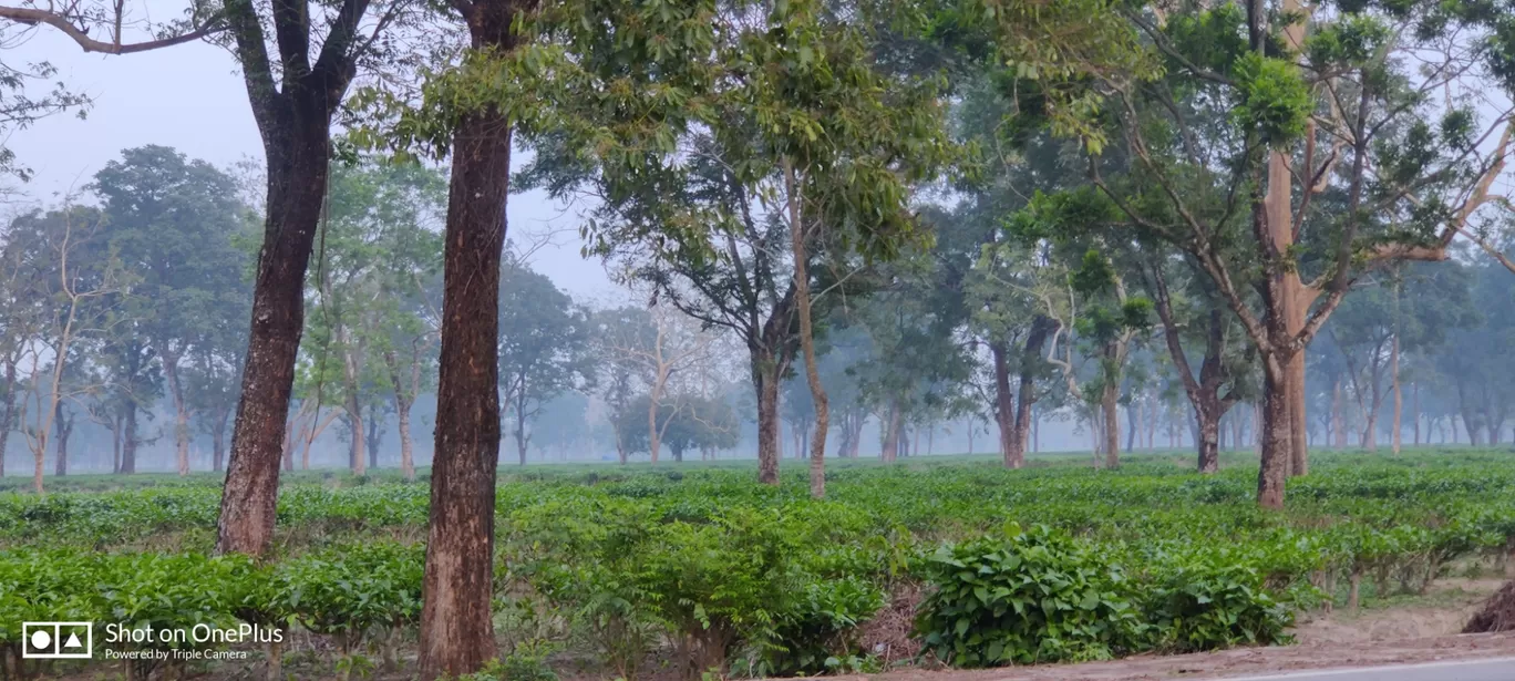 Photo of Manas National Park By Nasrin Rahman