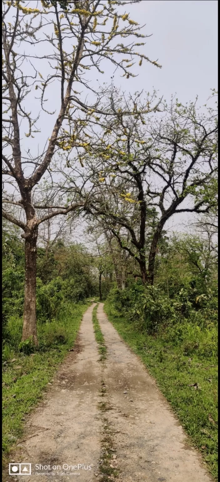 Photo of Manas National Park By Nasrin Rahman