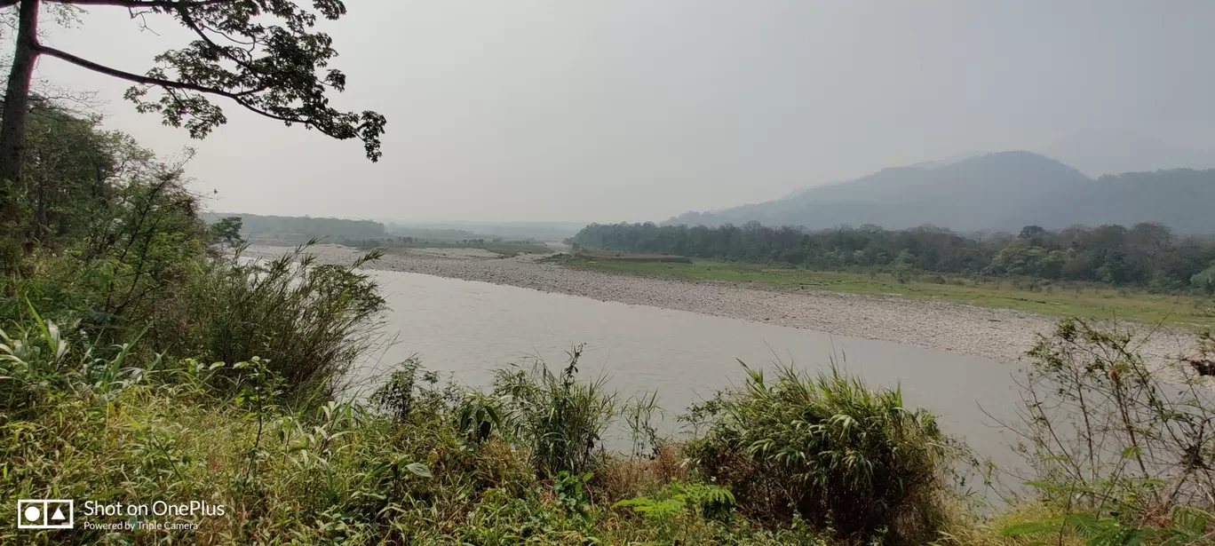 Photo of Manas National Park By Nasrin Rahman